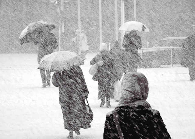 E PA BESUESHME! Bie Bora e parë…